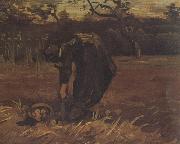 Vincent Van Gogh Peasant Woman Digging Up Potatoes (nn04) oil painting reproduction